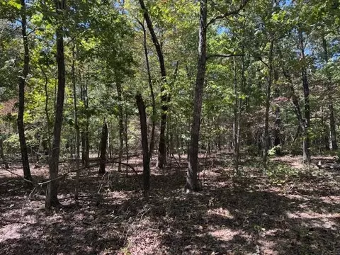 tbd Echowood Cir, Viola, AR 72583 photo 10
