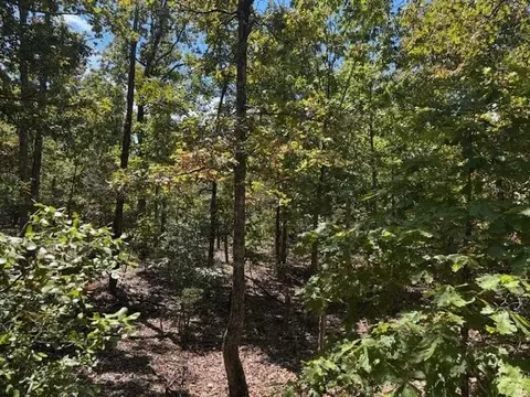 tbd Echowood Cir, Viola, AR 72583 photo 16