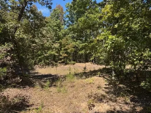 tbd Echowood Cir, Viola, AR 72583 photo 11