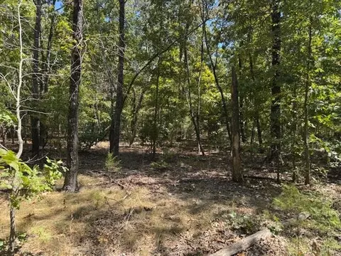 tbd Echowood Cir, Viola, AR 72583