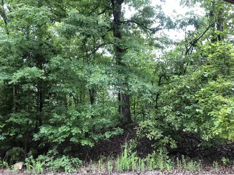 Chesapeake, Cherokee Village, AR 72529