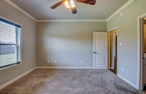 727 Mango Loop, Austin, AR 72007 photo 23