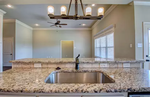 727 Mango Loop, Austin, AR 72007 photo 15