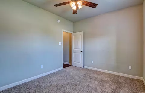 727 Mango Loop, Austin, AR 72007 photo 43