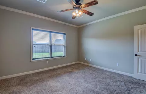 727 Mango Loop, Austin, AR 72007 photo 24