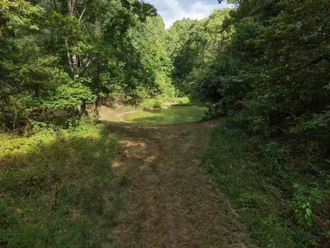 186 Williamson Trl # A, Mount Pleasant, AR 72561 photo 17