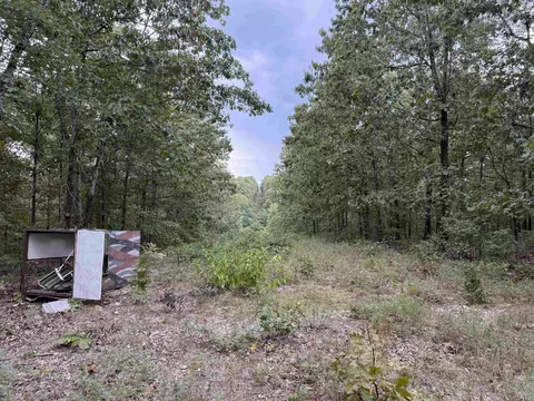 186 Williamson Trl # A, Mount Pleasant, AR 72561 photo 25