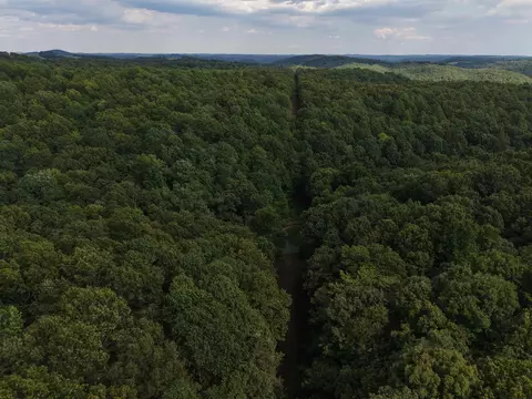 186 Williamson Trl # A, Mount Pleasant, AR 72561 photo 29