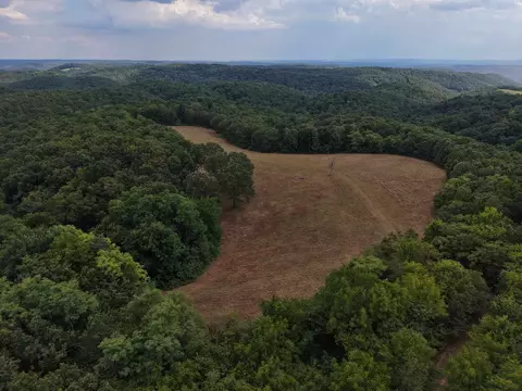 186 Williamson Trl # A, Mount Pleasant, AR 72561 photo 4