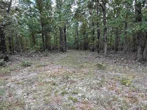 186 Williamson Trl # A, Mount Pleasant, AR 72561 photo 26