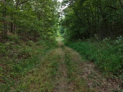 186 Williamson Trl # A, Mount Pleasant, AR 72561 photo 18