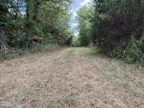 186 Williamson Trl # A, Mount Pleasant, AR 72561 photo 19