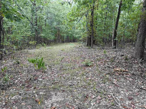 186 Williamson Trl # A, Mount Pleasant, AR 72561 photo 24