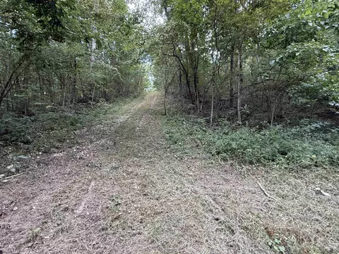 186 Williamson Trl # A, Mount Pleasant, AR 72561 photo 20