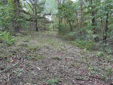 186 Williamson Trl # A, Mount Pleasant, AR 72561 photo 23