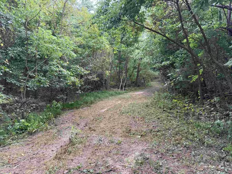 186 Williamson Trl # A, Mount Pleasant, AR 72561 photo 40