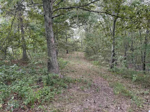 186 Williamson Trl # A, Mount Pleasant, AR 72561 photo 37