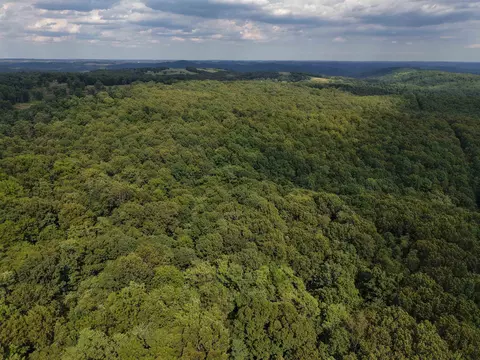 186 Williamson Trl # A, Mount Pleasant, AR 72561 photo 33