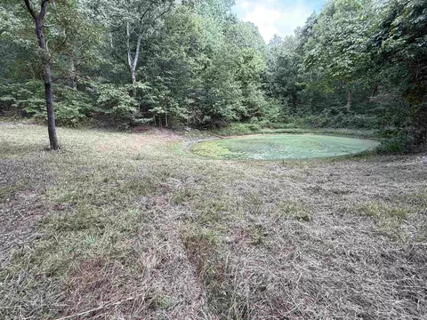186 Williamson Trl # A, Mount Pleasant, AR 72561 photo 13