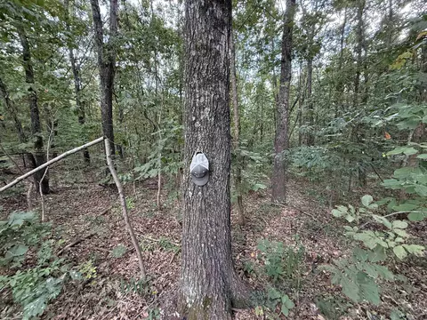 186 Williamson Trl # A, Mount Pleasant, AR 72561 photo 15
