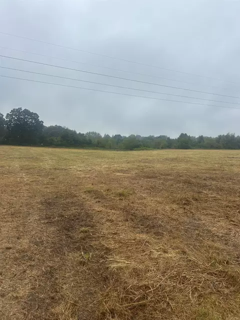 124 Hwy Hwy, Pangburn, AR 72121 photo 3
