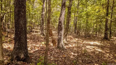 000 County Road 9640, Koshkonong, MO 65692