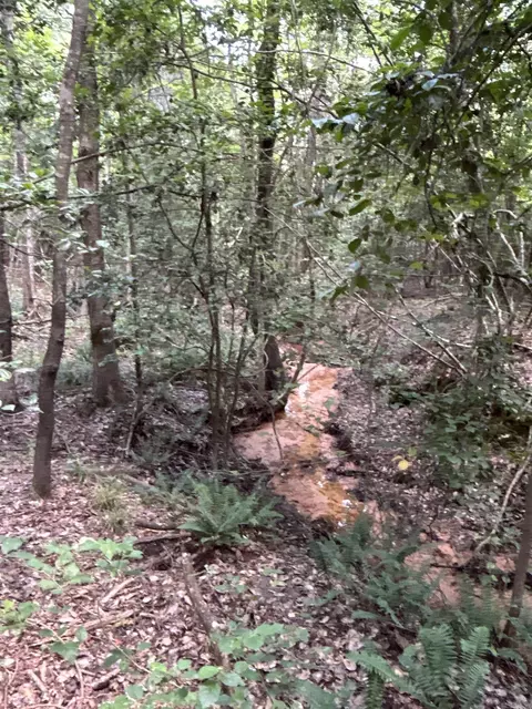 000 Nevada 36, Rosston, AR 71858 photo 2