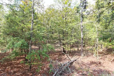 226 Blythe Rd, Greenbrier, AR 72058 photo 28