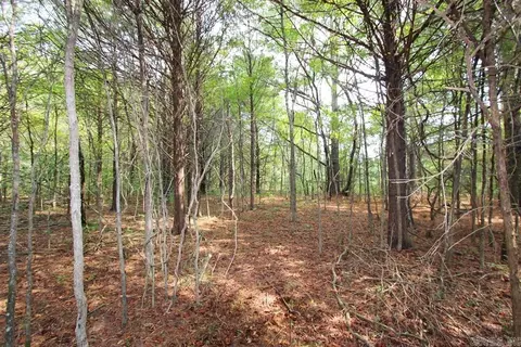 226 Blythe Rd, Greenbrier, AR 72058 photo 38