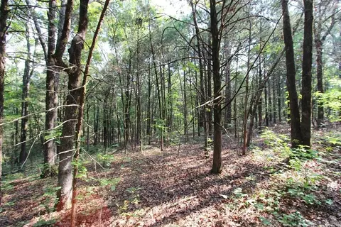 226 Blythe Rd, Greenbrier, AR 72058 photo 7