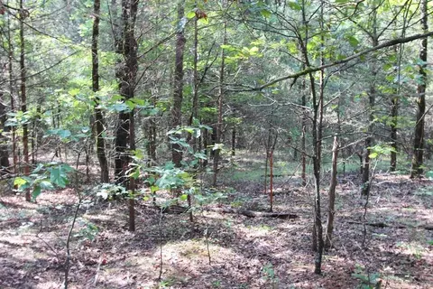 226 Blythe Rd, Greenbrier, AR 72058 photo 10