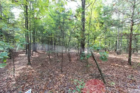 226 Blythe Rd, Greenbrier, AR 72058 photo 22