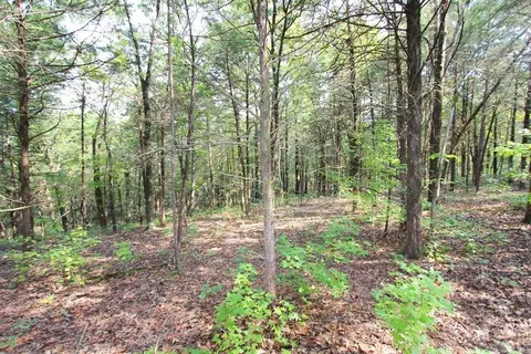226 Blythe Rd, Greenbrier, AR 72058 photo 5