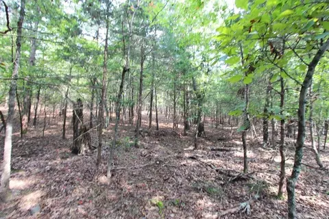 226 Blythe Rd, Greenbrier, AR 72058 photo 34