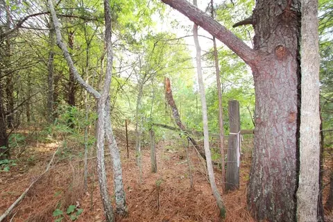 226 Blythe Rd, Greenbrier, AR 72058 photo 36