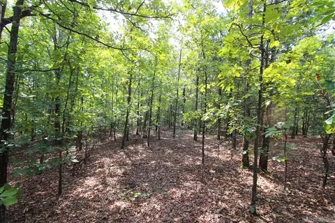 226 Blythe Rd, Greenbrier, AR 72058 photo 25