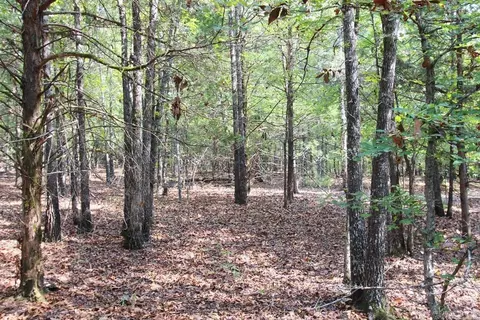 226 Blythe Rd, Greenbrier, AR 72058 photo 17
