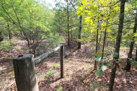 226 Blythe Rd, Greenbrier, AR 72058 photo 26