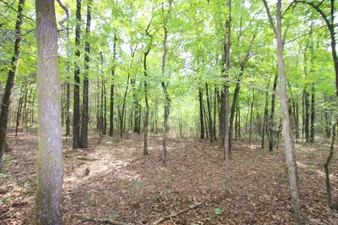 226 Blythe Rd, Greenbrier, AR 72058 photo 39