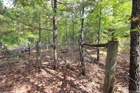 226 Blythe Rd, Greenbrier, AR 72058 photo 30