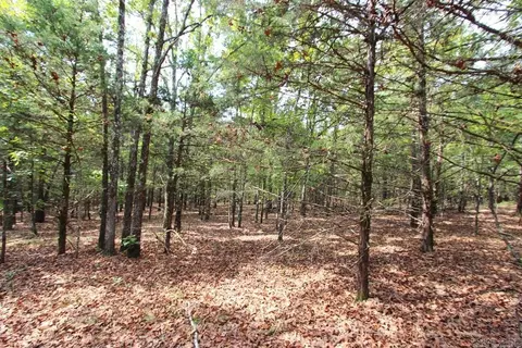 226 Blythe Rd, Greenbrier, AR 72058 photo 32