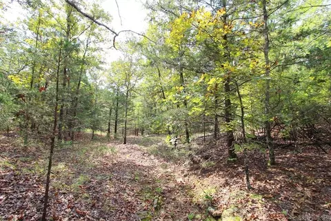 226 Blythe Rd, Greenbrier, AR 72058 photo 27