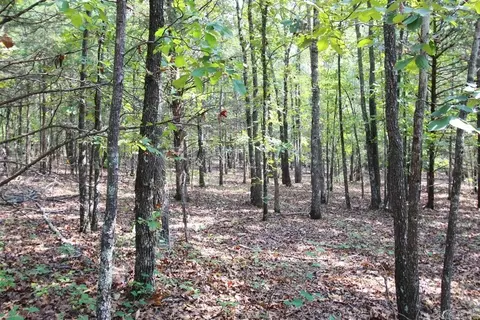 226 Blythe Rd, Greenbrier, AR 72058 photo 15