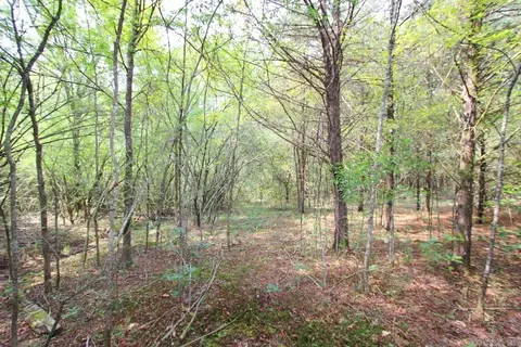 226 Blythe Rd, Greenbrier, AR 72058 photo 37