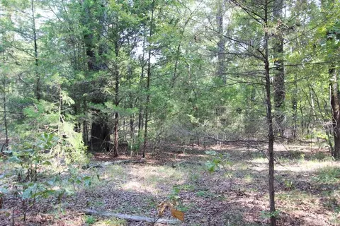 226 Blythe Rd, Greenbrier, AR 72058 photo 11