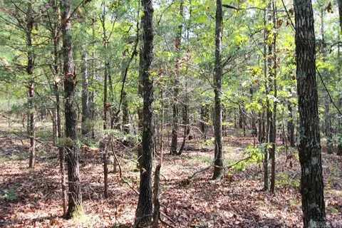 226 Blythe Rd, Greenbrier, AR 72058 photo 13