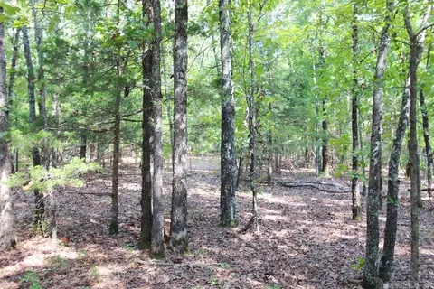 226 Blythe Rd, Greenbrier, AR 72058 photo 21