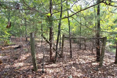 226 Blythe Rd, Greenbrier, AR 72058 photo 29