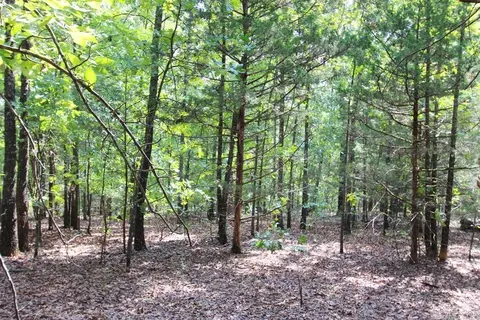 226 Blythe Rd, Greenbrier, AR 72058 photo 20