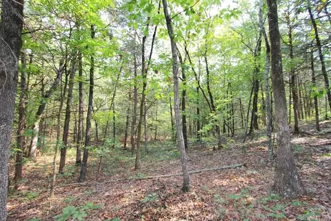 226 Blythe Rd, Greenbrier, AR 72058 photo 8